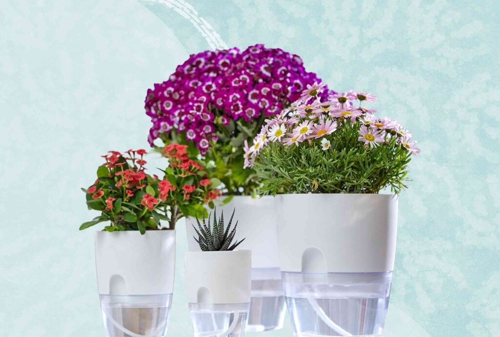 Watering Planters